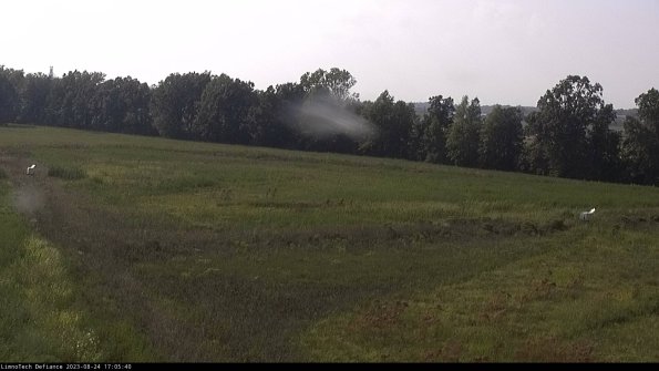 Cell 2_23-08-24_17-05-40-98