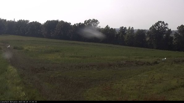 Cell 2_23-08-24_17-39-10-90