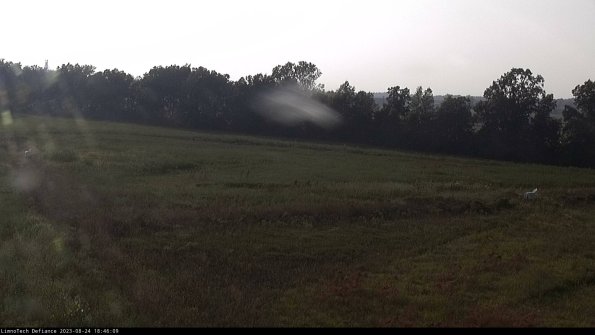 Cell 2_23-08-24_18-46-09-90