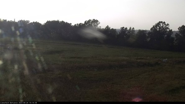 Cell 2_23-08-24_19-19-38-89