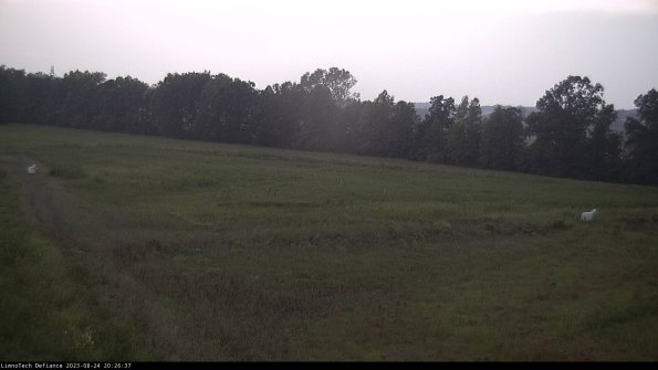 Cell 2_23-08-24_20-26-37-89