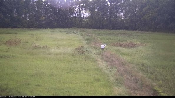 Cell 3 to 4_23-08-24_07-36-57-89