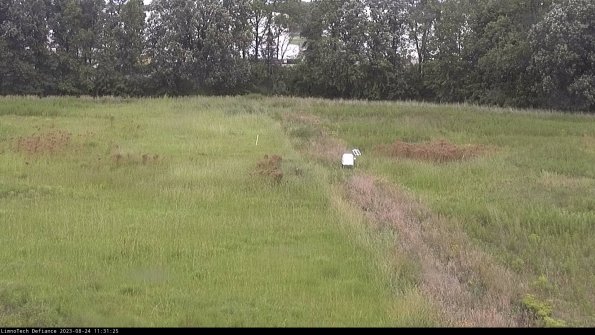 Cell 3 to 4_23-08-24_11-31-25-87