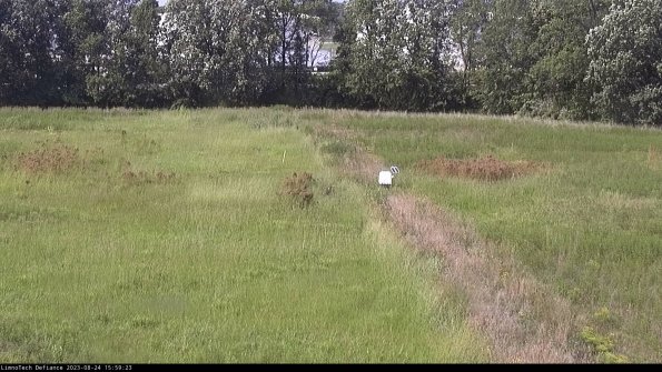 Cell 3 to 4_23-08-24_15-59-23-89