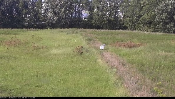 Cell 3 to 4_23-08-24_16-32-52-87