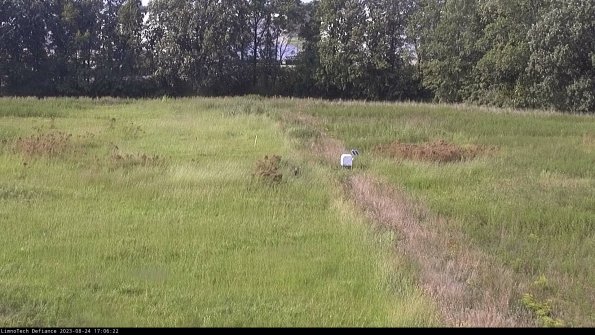 Cell 3 to 4_23-08-24_17-06-22-89