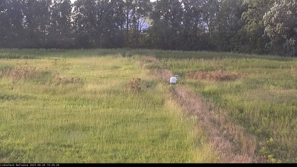 Cell 3 to 4_23-08-24_19-20-20-90