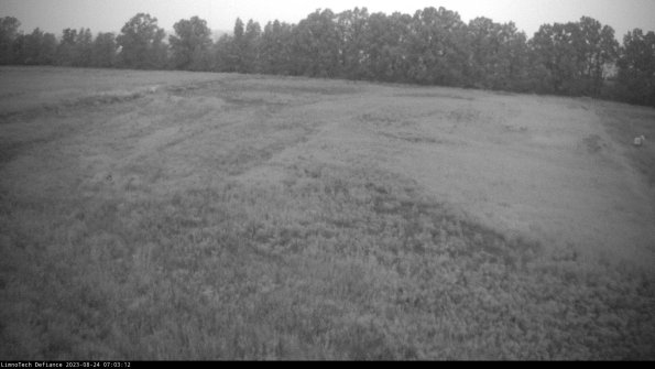 Cell 3_23-08-24_07-03-13-12