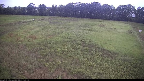 Cell 3_23-08-24_07-36-43-88