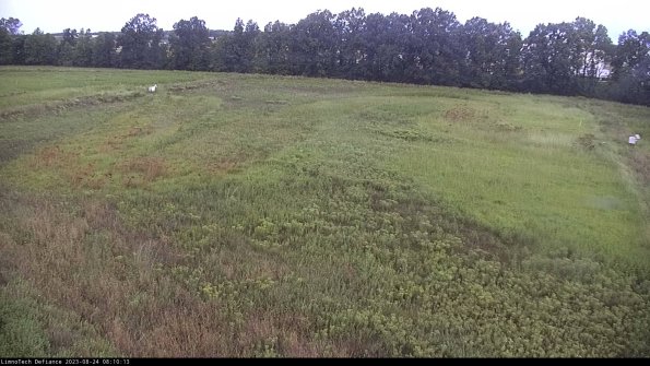 Cell 3_23-08-24_08-10-13-86