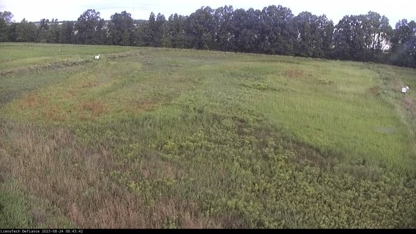 Cell 3_23-08-24_08-43-43-11