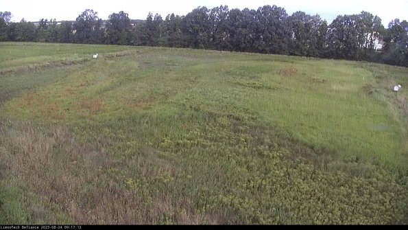 Cell 3_23-08-24_09-17-12-87