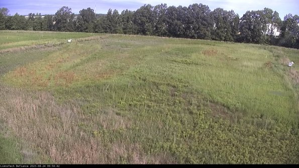 Cell 3_23-08-24_09-50-42-89