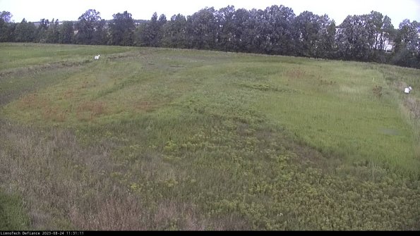 Cell 3_23-08-24_11-31-12-09