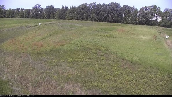 Cell 3_23-08-24_13-11-39-88