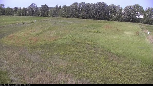 Cell 3_23-08-24_13-45-08-86