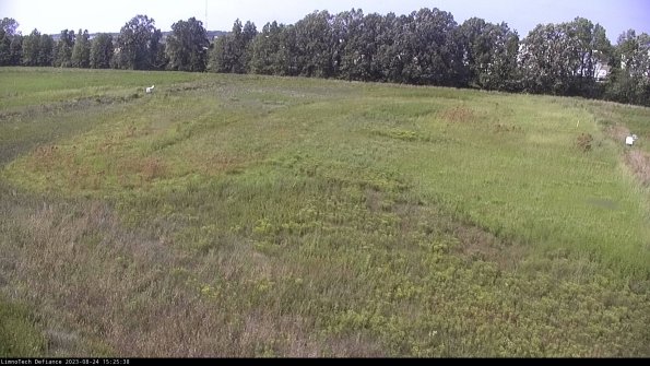 Cell 3_23-08-24_15-25-38-89