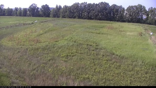 Cell 3_23-08-24_16-32-38-89