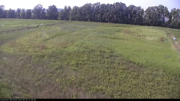 Cell 3_23-08-24_17-06-08-88