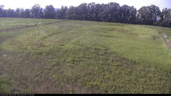 Cell 3_23-08-24_17-39-38-86