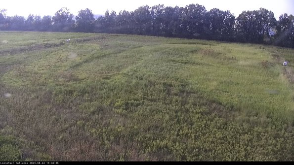 Cell 3_23-08-24_18-46-37-10