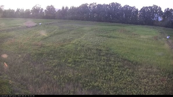 Cell 3_23-08-24_19-53-36-10