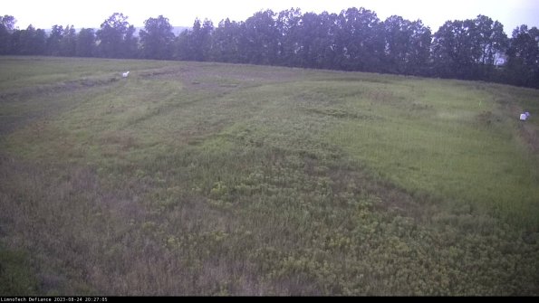 Cell 3_23-08-24_20-27-05-89