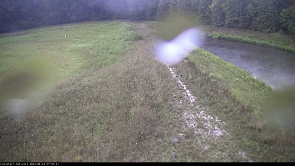 Cell 4 to Basin_23-08-24_07-37-41-87