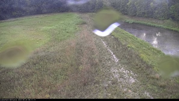 Cell 4 to Basin_23-08-24_08-11-11-89