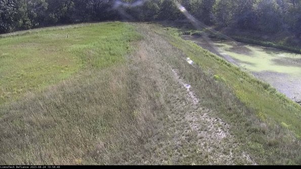 Cell 4 to Basin_23-08-24_10-58-40-89