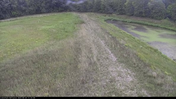 Cell 4 to Basin_23-08-24_11-32-09-88