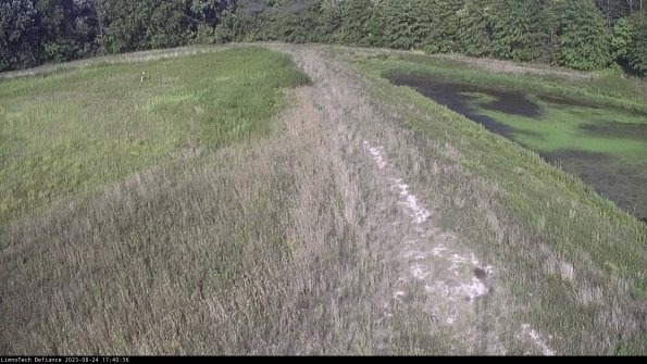 Cell 4 to Basin_23-08-24_17-40-36-89