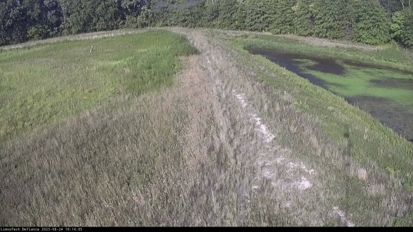 Cell 4 to Basin_23-08-24_18-14-05-90