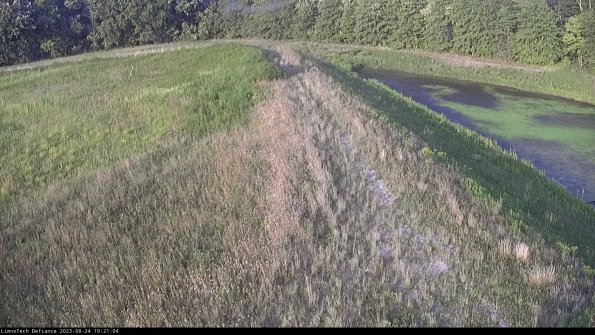 Cell 4 to Basin_23-08-24_19-21-04-91