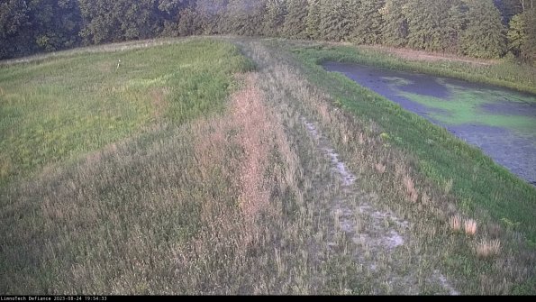 Cell 4 to Basin_23-08-24_19-54-33-89