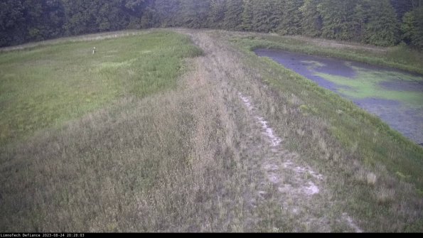 Cell 4 to Basin_23-08-24_20-28-03-85