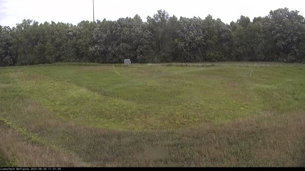 Cell 4_23-08-24_11-31-39-88