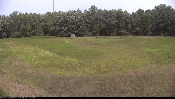 Cell 4_23-08-24_13-12-07-87