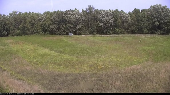 Cell 4_23-08-24_13-45-36-89