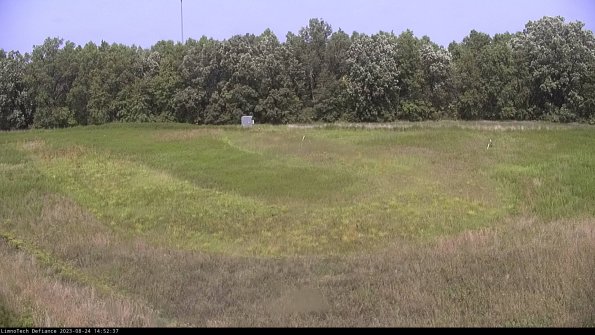 Cell 4_23-08-24_14-52-37-86