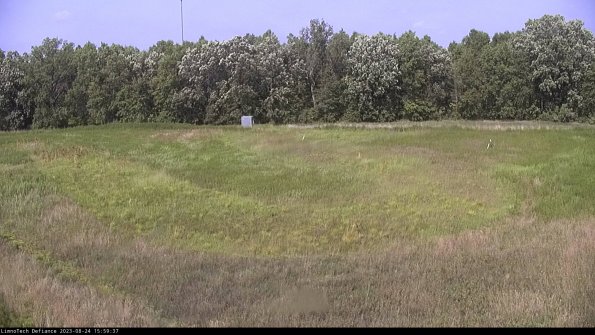 Cell 4_23-08-24_15-59-37-87