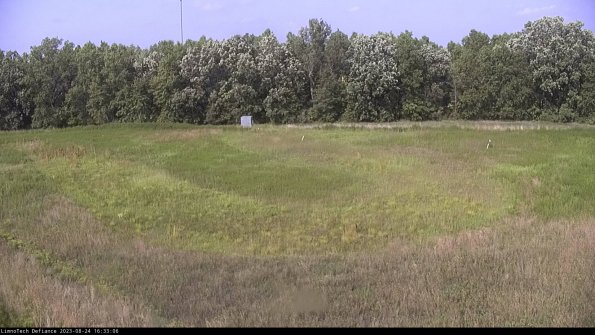 Cell 4_23-08-24_16-33-06-89