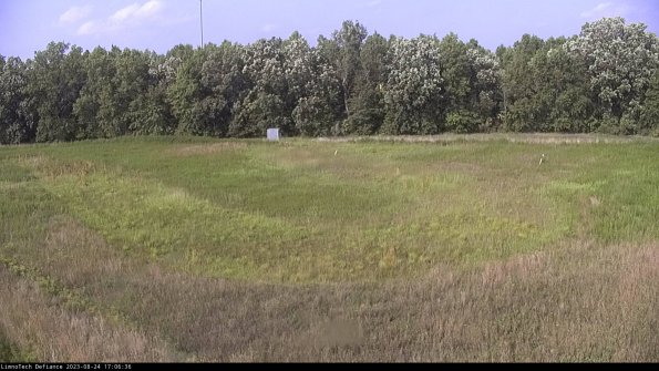 Cell 4_23-08-24_17-06-36-87