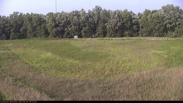 Cell 4_23-08-24_18-13-35-87