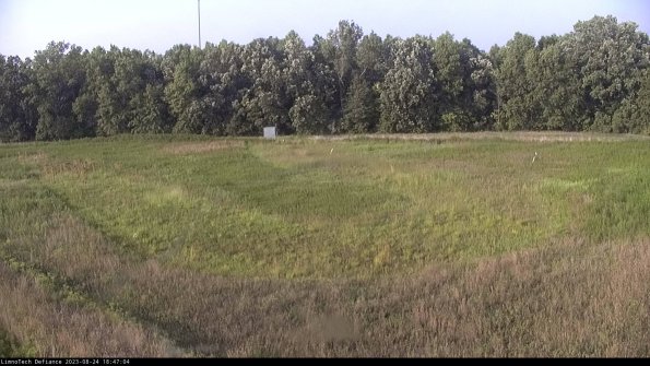 Cell 4_23-08-24_18-47-04-89