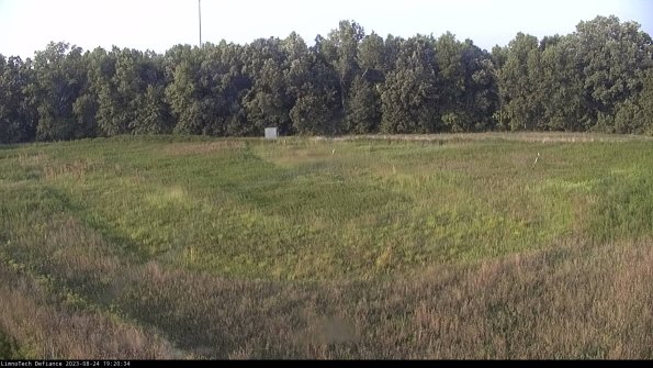 Cell 4_23-08-24_19-20-34-88