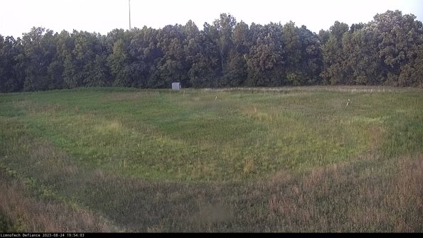 Cell 4_23-08-24_19-54-03-90