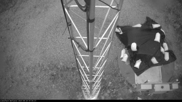 Hatch_23-08-24_07-05-21-88