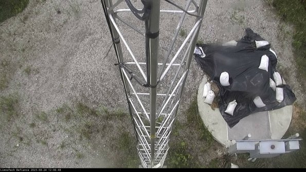 Hatch_23-08-24_12-06-48-87