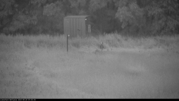 Outlet_23-08-24_07-03-55-96